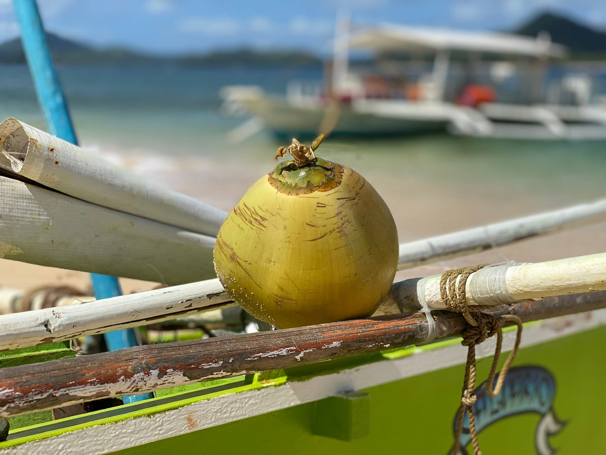 Coco joven fresco sobre una barca tradicional junto al mar, origen del coco fermentado